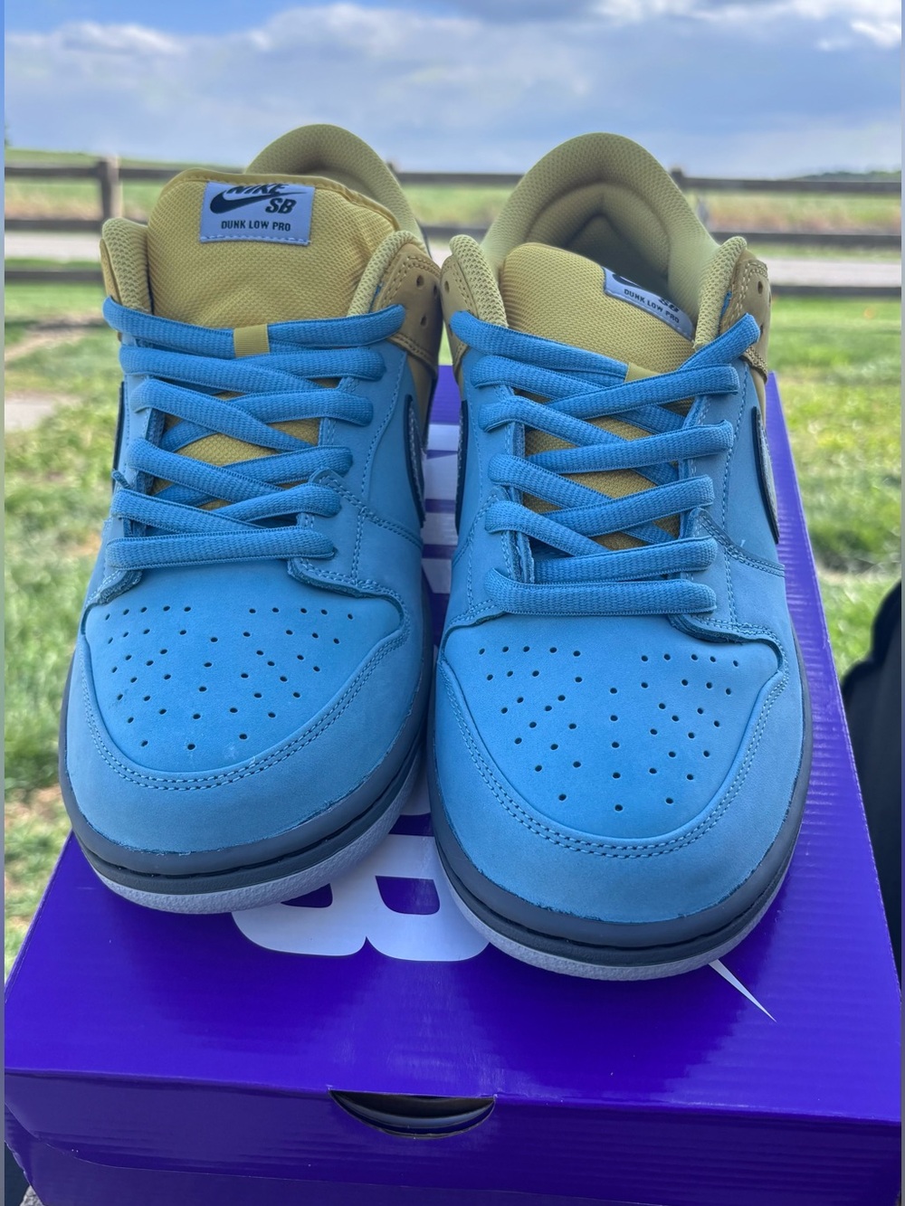 Nike SB Dunk Low Muni Fast Pass IR1888-700 Men's Size 13 - Picture 7 of 7